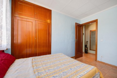 Appartamento in vendita Torrevieja, Alicante, Spagna 3 camere da letto, 91 mq. N° 113183 - foto 8