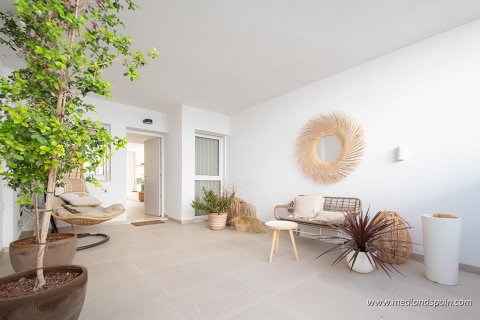 Appartamento in vendita Pilar de la Horadada, Alicante, Spagna 3 camere da letto, 92.61 mq. N° 108628 - foto 3