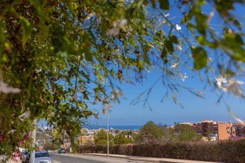 Bungalow for sale Torrevieja, Alicante, Spain 4 bedrooms, 87 sq.m. No. 109223 - photo 28