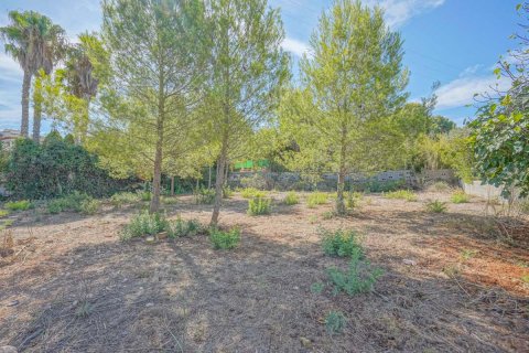 Villa à vendre Javea, Alicante, Espagne, 4 chambres, 510 m2 No. 81440 - photo 9