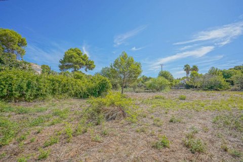 Villa à vendre Javea, Alicante, Espagne, 4 chambres, 510 m2 No. 81440 - photo 6