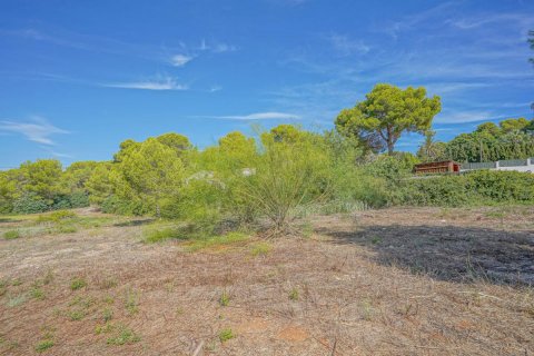Villa à vendre Javea, Alicante, Espagne, 4 chambres, 510 m2 No. 81440 - photo 7