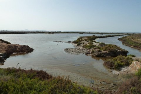 Dom San Pedro del Pinatar, Murcia, Hiszpania 3 sypialnie, 108 mkw. nr 23306 – zdjęcie 8