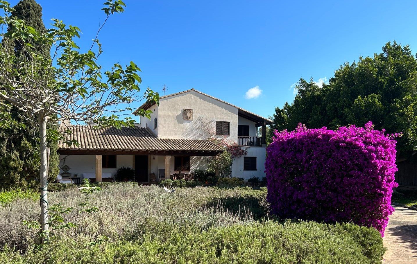Willa w Cala Blava, Mallorca, Hiszpania 5 sypialni, 555 mkw. nr 100955