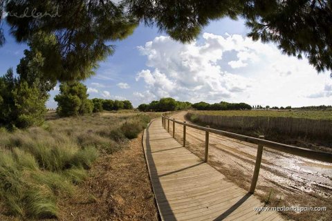 Wohnung zum Verkauf La Mata, Alicante, Spanien 2 Schlafzimmer, 164.92 m2 Nr. 108843 - Foto 12