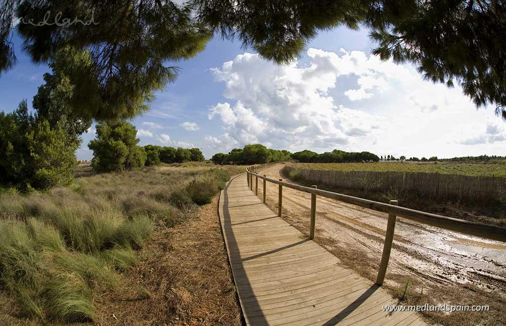 Lägenhet i La Mata, Alicante, Spanien 2 sovrum, 151 kvm. Nr. 108844