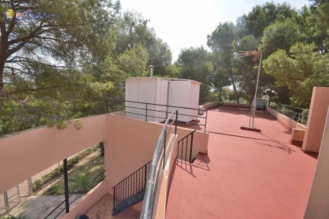 Villa for sale Los Balcones, Alicante, Spain 6 bedrooms, 671 sq.m. No. 115404 - photo 12