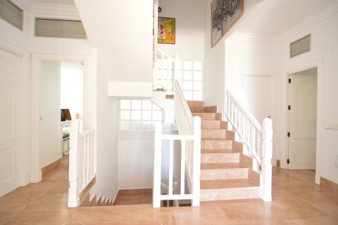 Villa zum Verkauf Torrevieja, Alicante, Spanien 4 Schlafzimmer, 520 m2 Nr. 115965 - Foto 4