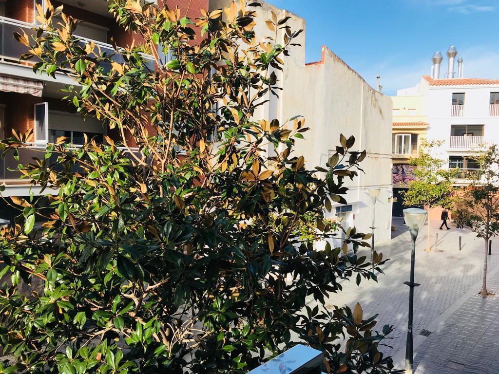 Apartment à Cambrils, Tarragona, Espagne 3 chambres, 118 m2 No. 21865