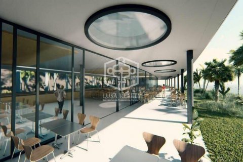 Commercial property for sale Arona, Tenerife, Spain 2935 sq.m. No. 111081 - photo 6
