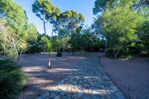 House zum Verkauf Mutxamel, Alicante, Spanien 7 Schlafzimmer, 1350 m2 Nr. 109302 - Foto 2