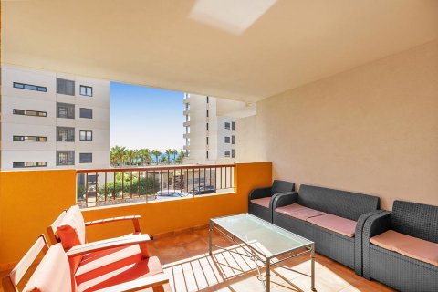 Продажа квартиры Пунта Прима, Аликанте, Испания 3 спальни, 132м2 №84754 - фото 2