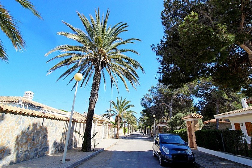 Villa in Cabo Roig, Alicante, Spanien 5 Schlafzimmer, 250 m2 Nr. 103700
