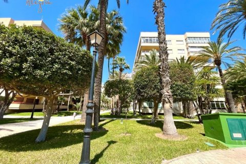 Продажа пентхауса в Торревьеха, Аликанте, Испания 2 спальни, 94м2 №109016 - фото 5