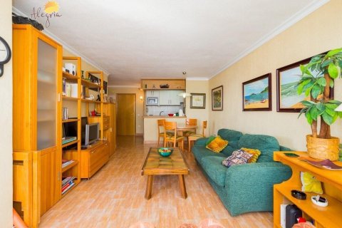 Продажа пентхауса в Торревьеха, Аликанте, Испания 2 спальни, 94м2 №109016 - фото 12