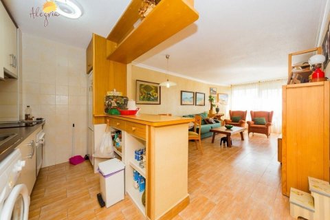 Продажа пентхауса в Торревьеха, Аликанте, Испания 2 спальни, 94м2 №109016 - фото 13