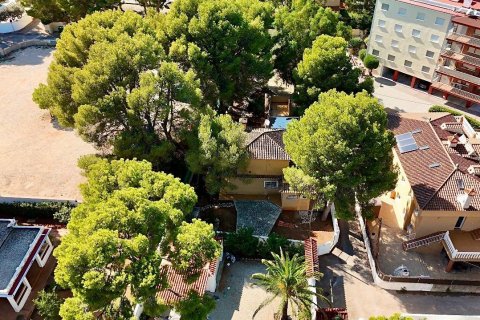 Apartamento en venta Dénia, Alicante, España 3 dormitorios, 200 m2 No. 109026 - foto 28