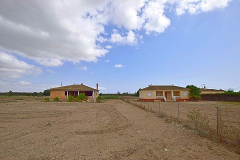 Продажа дома Долорес, Аликанте, Испания 6 спален, 300м2 №111294 - фото 9