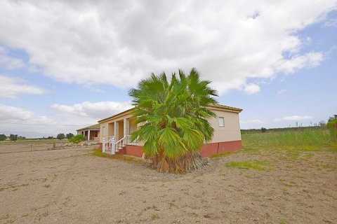 Продажа дома Долорес, Аликанте, Испания 6 спален, 300м2 №111294 - фото 6