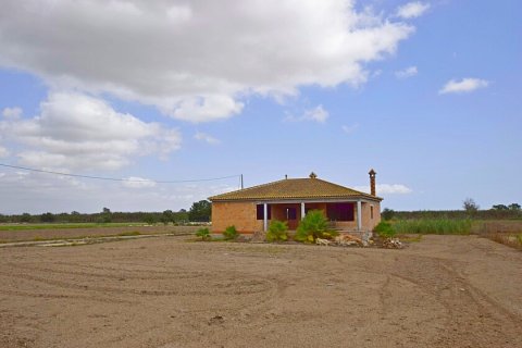 Продажа дома Долорес, Аликанте, Испания 6 спален, 300м2 №111294 - фото 29