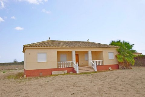 Продажа дома Долорес, Аликанте, Испания 6 спален, 300м2 №111294 - фото 1