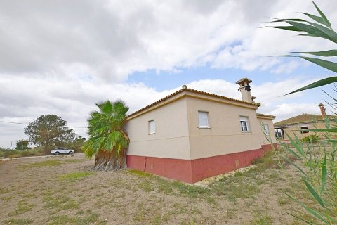 Продажа дома Долорес, Аликанте, Испания 6 спален, 300м2 №111294 - фото 8