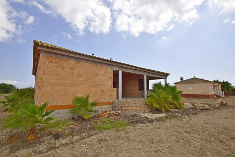 Продажа дома Долорес, Аликанте, Испания 6 спален, 300м2 №111294 - фото 30