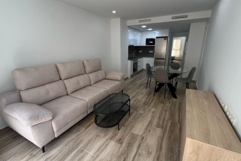 Apartament Alicante, Hiszpania 1 sypialnia, 58 mkw. nr 117135 – zdjęcie 17