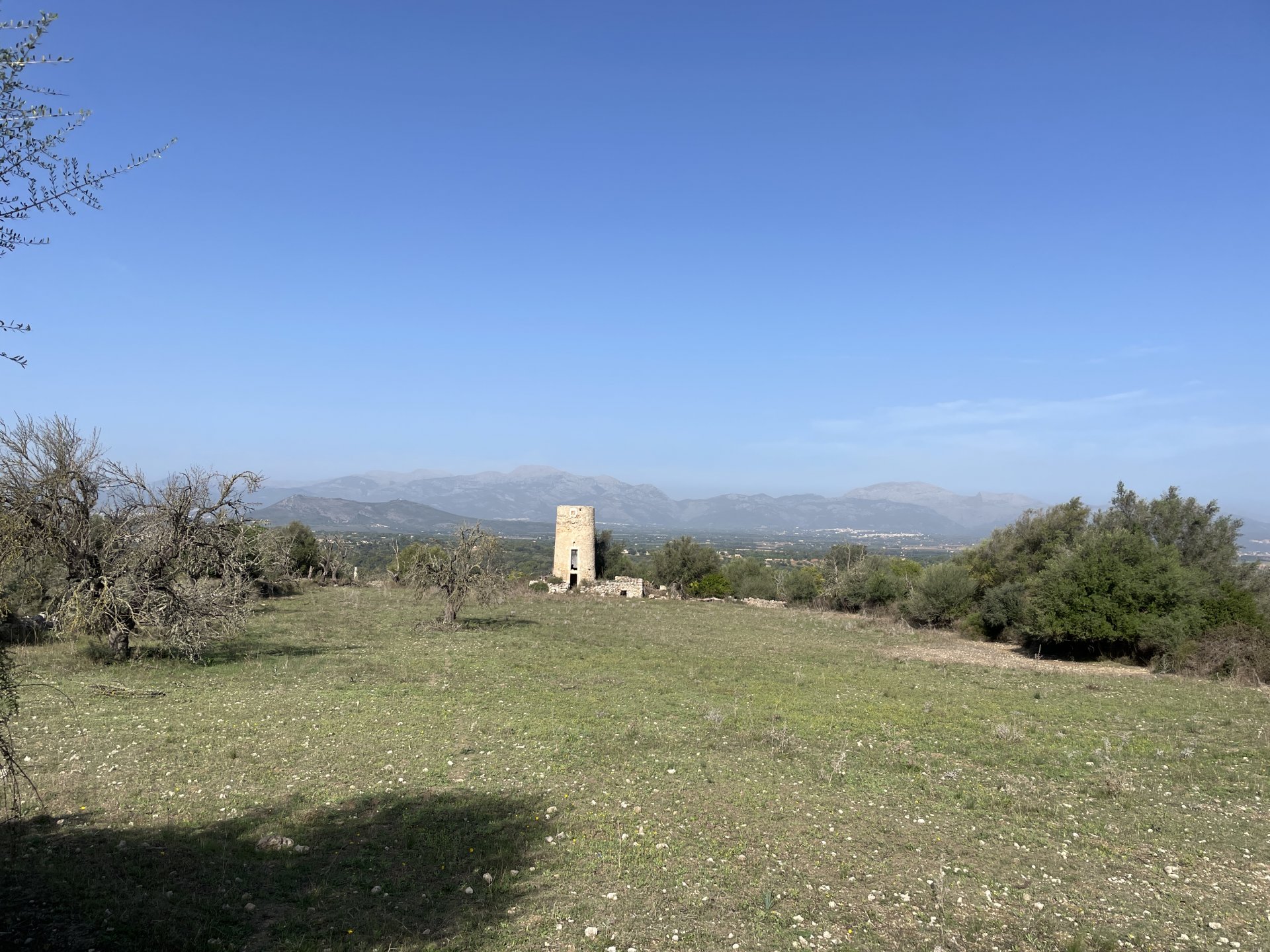 Tontti Llubi, Mallorca, Espanja 21983 m2 No. 111945