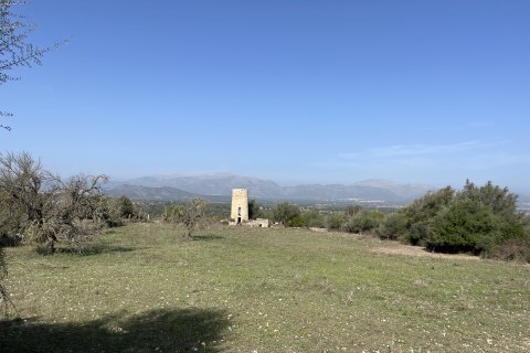 Land zum Verkauf Llubi, Mallorca, Spanien 21983 m2 Nr. 111945 - Foto 3