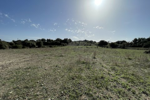 Land zum Verkauf Llubi, Mallorca, Spanien 21983 m2 Nr. 111945 - Foto 7