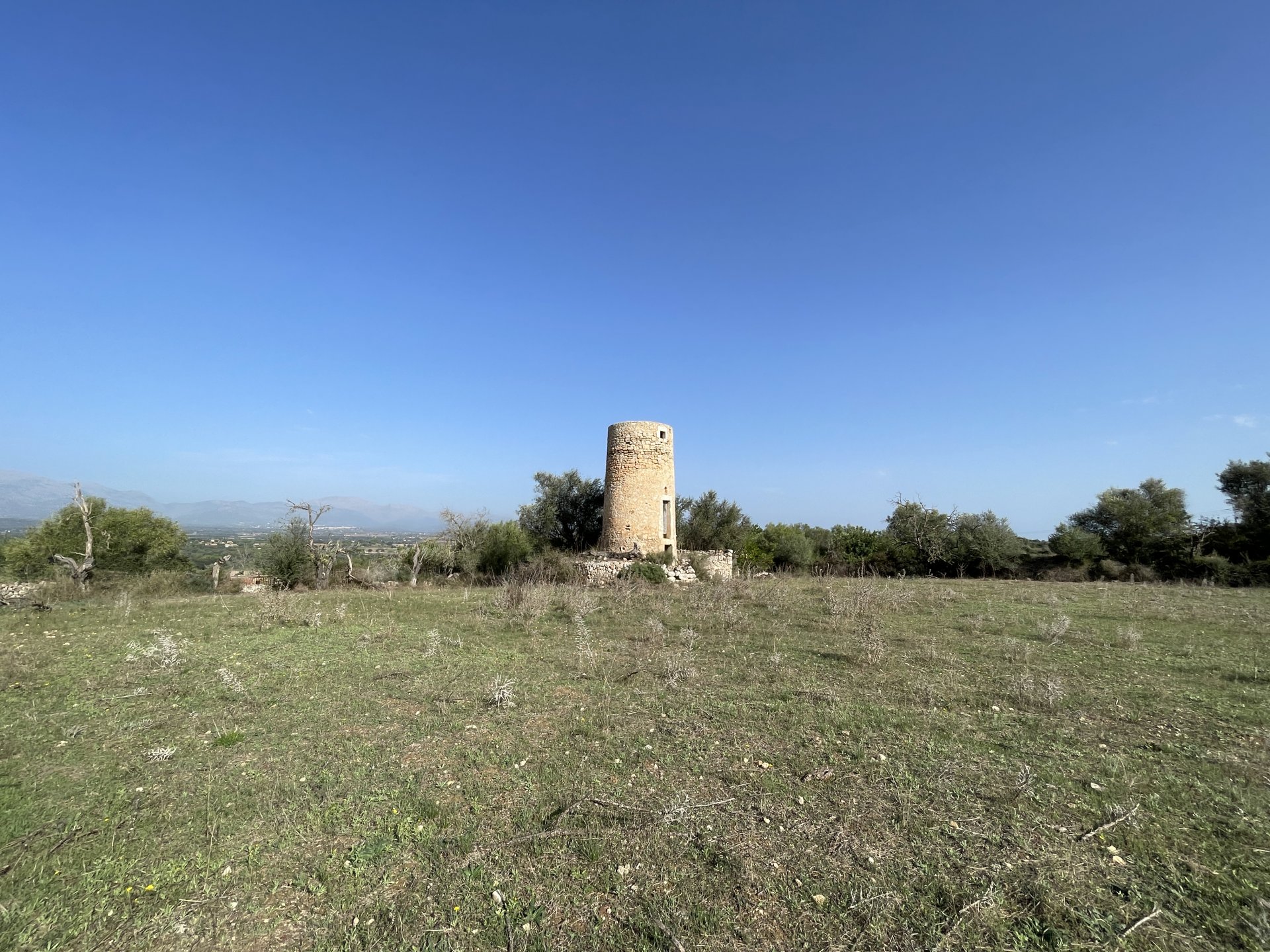 Tontti Llubi, Mallorca, Espanja 21983 m2 No. 111945