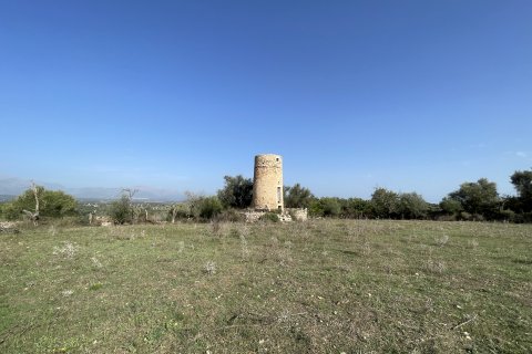 Land zum Verkauf Llubi, Mallorca, Spanien 21983 m2 Nr. 111945 - Foto 2