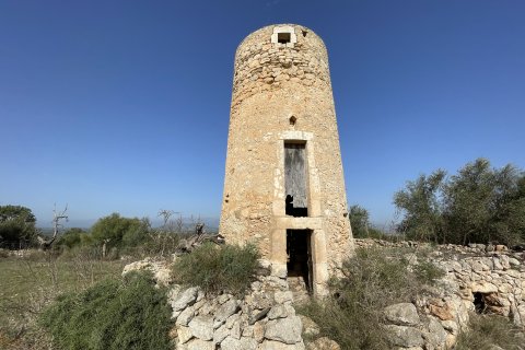Land zum Verkauf Llubi, Mallorca, Spanien 21983 m2 Nr. 111945 - Foto 1