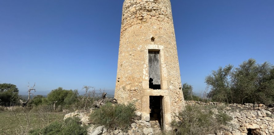 Land Llubi, Mallorca, Spanien 21983 m2 Nr. 111945