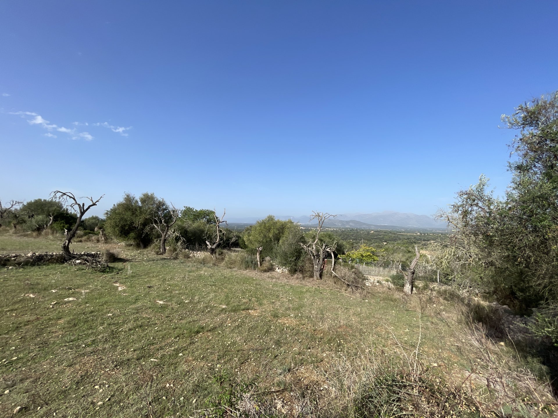 Tontti Llubi, Mallorca, Espanja 21983 m2 No. 111945