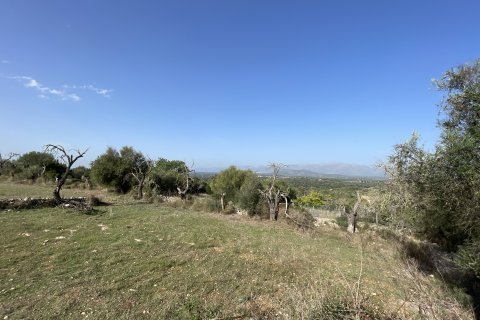 Land zum Verkauf Llubi, Mallorca, Spanien 21983 m2 Nr. 111945 - Foto 6