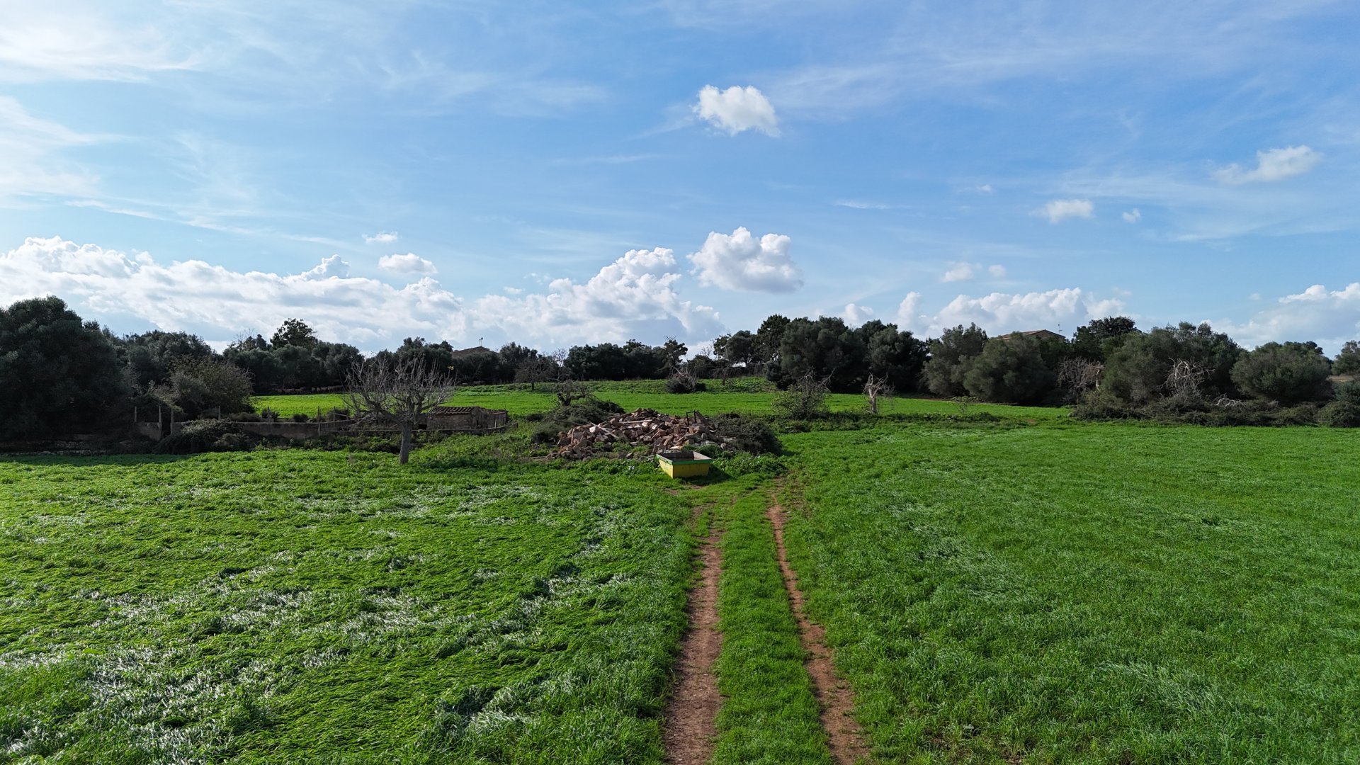 Land in Manacor, Mallorca, Spanien 4 Schlafzimmer, 55000 m2 Nr. 111946