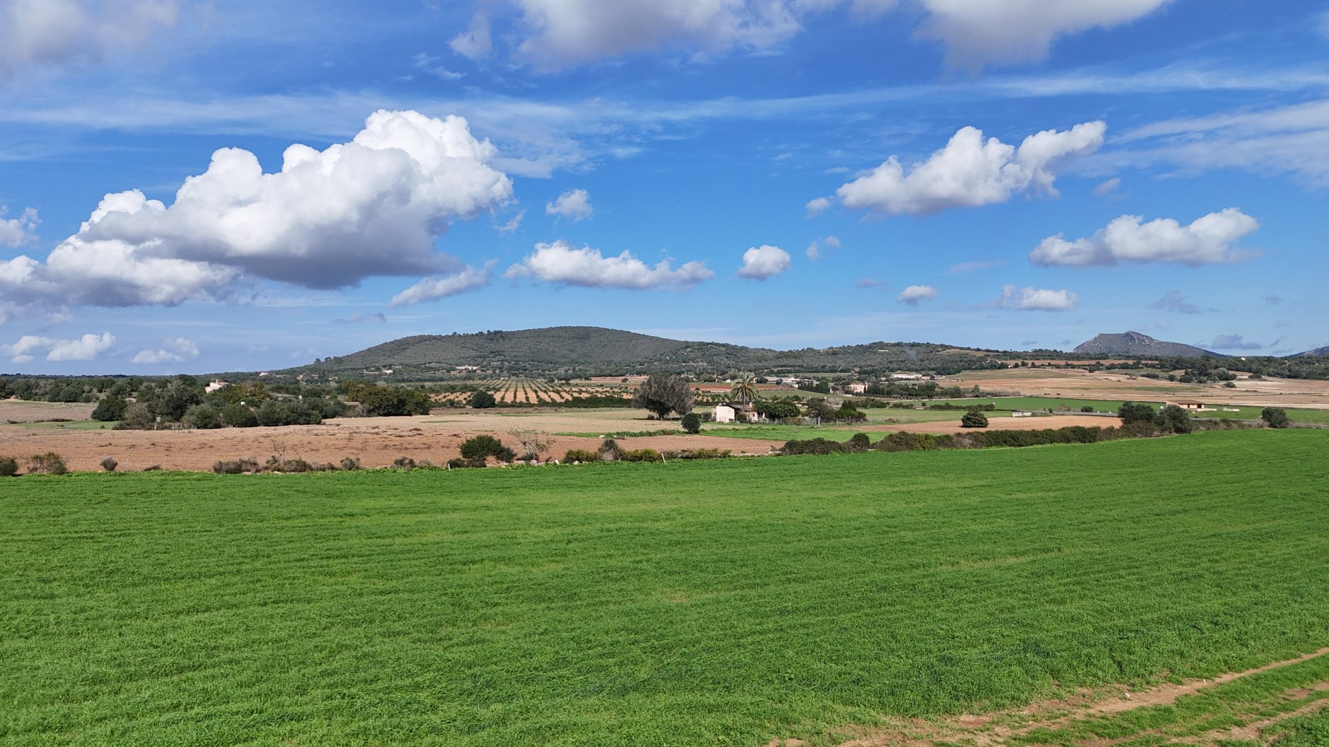 Land in Manacor, Mallorca, Spanien 4 Schlafzimmer, 55000 m2 Nr. 111946