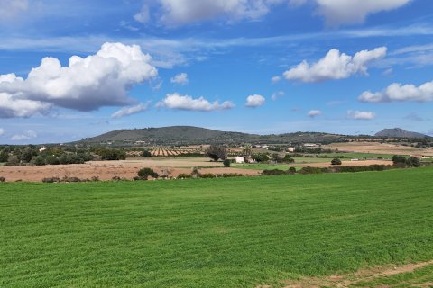 Tontti myytävänä Manacor, Mallorca, Espanja, 4 makuuhuonetta, 55000 m2 No. 111946 - kuva 9