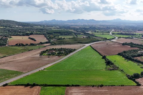 Tontti myytävänä Manacor, Mallorca, Espanja, 4 makuuhuonetta, 55000 m2 No. 111946 - kuva 7
