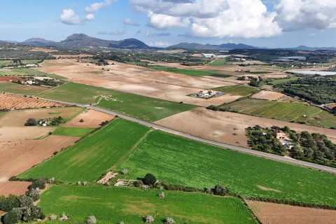 Tontti myytävänä Manacor, Mallorca, Espanja, 4 makuuhuonetta, 55000 m2 No. 111946 - kuva 8