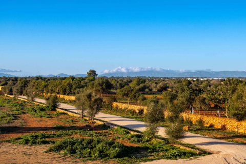 Finca for sale Llucmajor, Mallorca, Spain 3 bedrooms, 380 sq.m. No. 111952 - photo 18