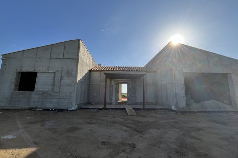 Finca à vendre Sa Pobla, Mallorca, Espagne, 4 chambres, 182 m2 No. 111972 - photo 4