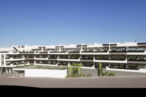 Huoneisto myytävänä Benijofar, Alicante, Espanja, 2 makuuhuonetta, 56 m2 No. 50602 - kuva 3