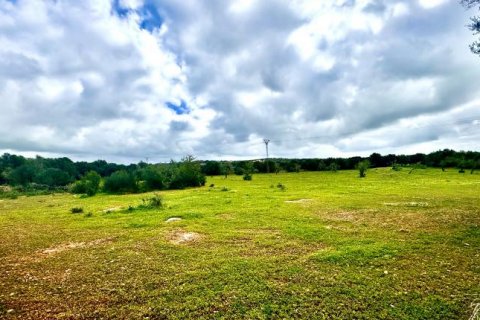 Land plot for sale Ses Salines, Mallorca, Spain No. 108947 - photo 2