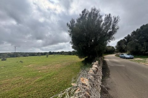 Land plot for sale Ses Salines, Mallorca, Spain No. 108947 - photo 5