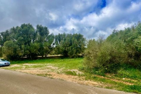 Land plot for sale Ses Salines, Mallorca, Spain No. 108947 - photo 6