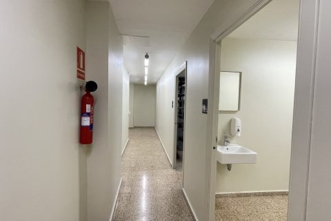 Liikekiinteistö vuokrattavana Palma de Majorca, Mallorca, Espanja , 400 m2 No. 112005 - kuva 15
