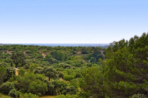 Finca for sale Santa Maria Del Cami, Mallorca, Spain 5 bedrooms, 423 sq.m. No. 112045 - photo 10